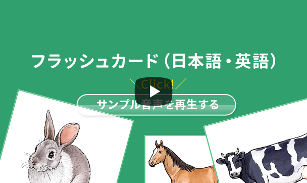 フラッシュカード（日本語・英語）　サンプル音声を再生する